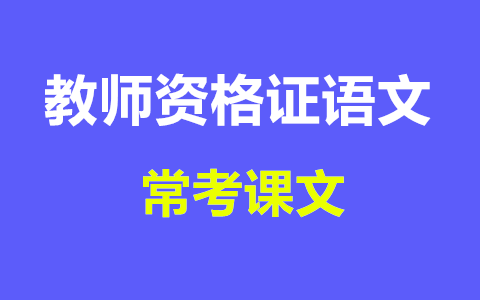 天津语文教师资格证面试